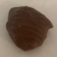 Milk Turtle